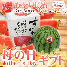 母の日ギフト ”小玉すいか ひとりじめ” カーネーション造花付き 化粧箱 2L～3L 1玉 約2.5kg【予約 5月3日～5月12日お届け予定】 送料無料