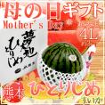母の日ギフト ”小玉すいか ひとりじめ” カーネーション造花付き 化粧箱 4L 1玉 約3kg【予約 5月2日～5月10日お届け予定】 送料無料