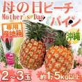 母の日ギフト ”沖縄 ピーチパイン” カーネーション造花付き 2～3玉 約1.5kg【予約 5月2日～5月10日お届け予定】 送料無料