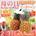 母の日ギフト ”沖縄 スナックパイン＋ピーチパイン食べ比べセット” カーネーション造花付き 2～3玉 約1.5kg【予約 5月2日～5月10日お届け予定】 送料無料