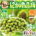 ”紀州・和歌山産 南高梅 青梅” 秀品 2L～3L 約3kg【予約 5月中旬以降】 送料無料