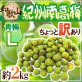 ”紀州・和歌山産 南高梅 青梅” ちょっと訳あり L 約2kg【予約 5月中旬以降】 送料無料
