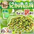 ”紀州・和歌山産 南高梅 青梅” ちょっと訳あり L 約3kg【予約 5月中旬以降】 送料無料