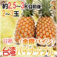 ”甘熟台湾パイン” 2～3玉 約2.5～3kg パイナップル/金鑚パイン/金鑚鳳梨【予約 4月以降】 送料無料