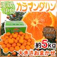 愛媛産 ”中島便り カラマンダリン” 訳あり 約5kg 大きさおまかせ【予約 4月下旬以降】 送料無料