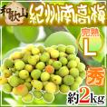 ”紀州・和歌山産 南高梅 完熟” 秀品 L 約2kg【予約 6月以降】 送料無料
