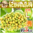 ”紀州・和歌山産 南高梅 完熟” 秀品 L 約3kg【予約 6月以降】 送料無料