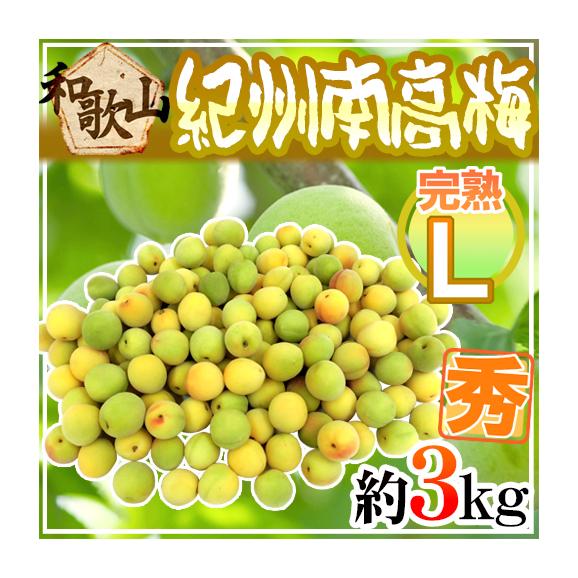 紀州・和歌山産 南高梅 完熟” 秀品 L 約3kg【予約 6月以降