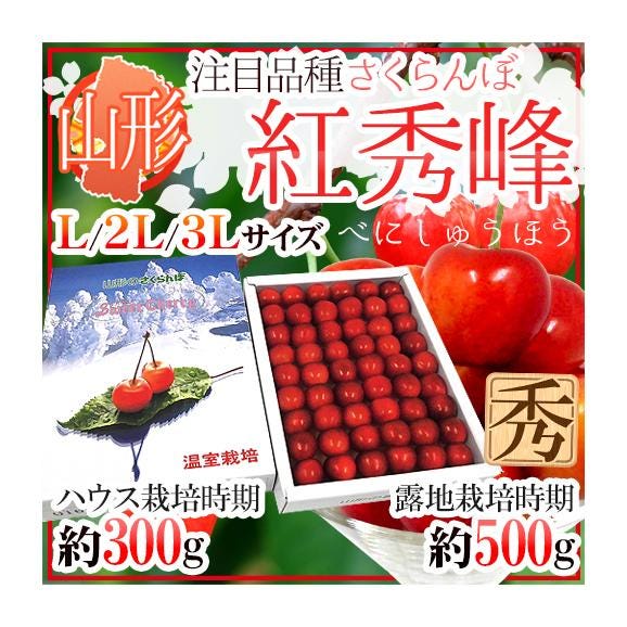 山形産 さくらんぼ &rdquo;紅秀峰&rdquo; L/2L/3Lサイズ 秀品 化粧箱 手詰め ハウス栽培時期：約300g 露地栽培時期：約500g【予約 6月末以降】 送料無料01