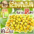 ”紀州・和歌山産 南高梅 完熟” L 約2kg ちょっと訳あり【予約 6月以降】 送料無料