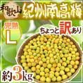 ”紀州・和歌山産 南高梅 完熟” L 約3kg ちょっと訳あり【予約 6月以降】 送料無料