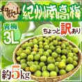”紀州・和歌山産 南高梅 青梅” ちょっと訳あり 3L 約5kg【予約 5月中旬以降】 送料無料