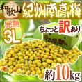 紀州・和歌山産 ”南高梅 完熟” 3L 約10kg ちょっと訳あり【予約 6月以降】 送料無料