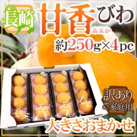 長崎県 巨大びわ ”甘香” 訳あり 約250g×4pc 大玉サイズ・ストレートパック【予約 4月下旬以降】 送料無料