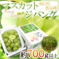 岡山産 ”マスカット・ジパング” 秀品 1房 約700g以上 化粧箱 皮ごと食べられる種なしぶどう【予約 9月中旬以降】 送料無料
