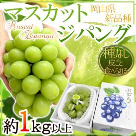 ”岡山産 マスカット・ジパング” 秀品 1房 約1kg以上 化粧箱 皮ごと食べられる種なしぶどう【予約 8月下旬以降】 送料無料