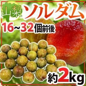 赤肉プラム ”山梨県産 ソルダム” 16〜32玉前後 約2kg【予約 7月以降】 送料無料