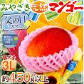 父の日ギフト ”宮崎完熟マンゴー” 秀品 超大玉3L 1玉+バラ造花1本【予約 6月14~21日お届け予定】 送料無料