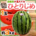”小玉すいか ひとりじめ” 4L 1玉 約3kg 産地厳選【予約 5月下旬以降】
