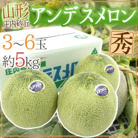 山形県庄内地方 ”アンデスメロン” 秀品 3～6玉 約5kg【予約 7月以降】 送料無料