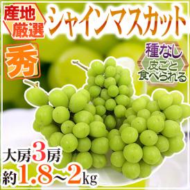 ”シャインマスカット” 秀品 大房限定 3房 約1.8kg～2kg 産地厳選【予約 8月下旬以降】 送料無料