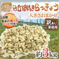 土らっきょう 鳥取産 ”砂丘らっきょう” 訳あり 約3kg 大きさおまかせ【予約 5月末以降】 送料無料