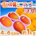 ”沖縄産 ミニマンゴー” 訳あり 4～6玉前後 約1kg 沖縄マンゴー【予約 7月以降】 送料無料
