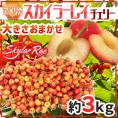”アメリカ産 スカイラーレイチェリー” 約3kg さくらんぼ【予約 6月下旬以降】 送料無料