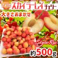 ”アメリカ産 スカイラーレイチェリー” 約500g さくらんぼ【予約 6月下旬以降】 送料無料
