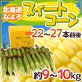 北海道 JA道北なよろ 高糖度とうもろこし ”スイートコーン” 22～27本前後 約9～10kg【予約 8月中下旬以降】 送料無料