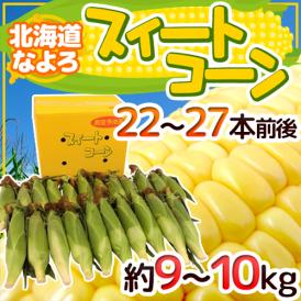 北海道 JA道北なよろ 高糖度とうもろこし ”スイートコーン” 22～27本前後 約9～10kg【予約 8月中下旬以降】 送料無料