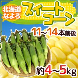 JA道北なよろ 高糖度とうもろこし ”北海道 スイートコーン” 11〜14本前後 約4〜5kg【予約 8月中下旬以降】 送料無料