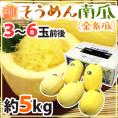 岡山産 ”そうめんかぼちゃ” 3～6玉前後 約5kg そうめん南瓜/金糸瓜【予約 6月中旬以降】