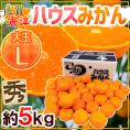 佐賀産 JAからつ ”ハウスみかん” 大玉Lサイズ 約5kg 温室みかん【予約 6月以降】 送料無料