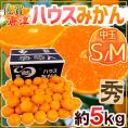 佐賀産 JAからつ ”ハウスみかん” S/Mサイズ 約5kg 温室みかん【予約 6月以降】 送料無料