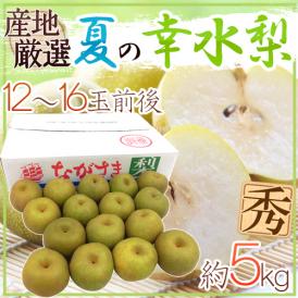 ”夏の幸水梨” 秀品 大玉12～16玉 約5kg 産地厳選【予約 7月以降】 送料無料