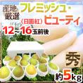 ”フレミッシュ・ビューティー” 秀品 12～16玉前後 約5kg 産地厳選 洋梨【予約 9月末以降】 送料無料