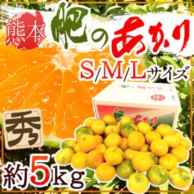熊本産 ”肥のあかりみかん” 秀品 S/M/Lサイズ 約5kg【予約 9月下旬以降】 送料無料