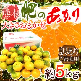 熊本産 ”肥のあかりみかん” 訳あり 約5kg 大きさおまかせ【予約 9月下旬以降】 送料無料