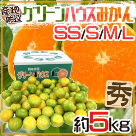 ”グリーンハウスみかん” 秀品 SS/S/M/Lサイズ 約5kg 産地厳選 温室みかん【予約 8月以降】 送料無料