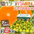 ”グリーンハウスみかん” 訳あり 約5kg 大きさおまかせ 産地厳選 温室みかん【予約 8月以降】 送料無料