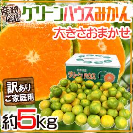 ”グリーンハウスみかん” 訳あり 約5kg 大きさおまかせ 産地厳選 温室みかん【予約 8月以降】 送料無料