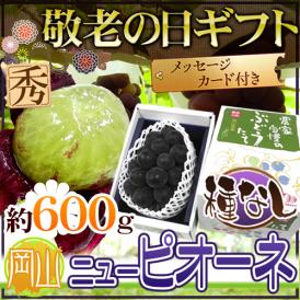 敬老の日ギフト 種なしぶどう ”ニューピオーネ” 約600g 1房 化粧箱 秀品 岡山産【予約 9月7～15日お届け予定】 送料無料