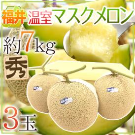 高級メロンの代名詞♪温室育ちのマスクメロン！