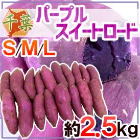 ”千葉県産 パープルスイートロード” 秀品 約2.5kg 紫芋 さつまいも【予約 10月以降】 送料無料