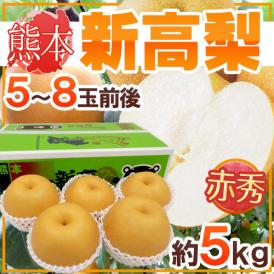 熊本産 ”新高梨” 赤秀品限定 超大玉 5～8玉前後 約4.5～5kg 産地箱【予約 9月下旬以降】 送料無料