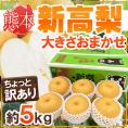 熊本産 &rdquo;新高梨&rdquo; ちょっと訳あり品 大きさおまかせ 約4.5～5kg 産地箱【予約 9月下旬以降】 送料無料