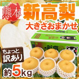 熊本産 ”新高梨” ちょっと訳あり品 大きさおまかせ 約4.5～5kg 産地箱【予約 9月下旬以降】 送料無料