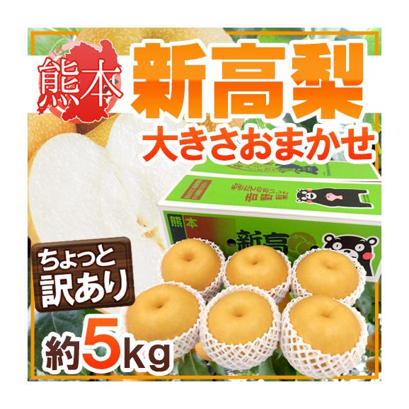 熊本産 &rdquo;新高梨&rdquo; ちょっと訳あり品 大きさおまかせ 約4.5～5kg 産地箱【予約 9月下旬以降】 送料無料01