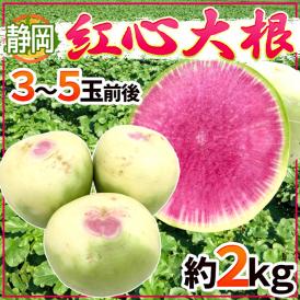 カラフルで見栄えバッチリの赤い大根♪